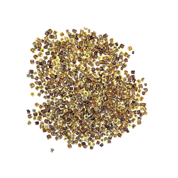 Lance Leaved Coreopsis Seeds For Planting (Coreopsis lanceolata)