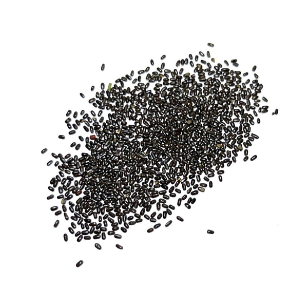 white lavender seeds for sale Vera Lavender Seeds For Planting (Lavandula angustifolia) Seed Needs – Seed Needs LLC