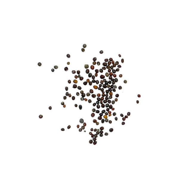 Purple Sicily Cauliflower Seeds For Planting (Brassica oleracea botrytis)