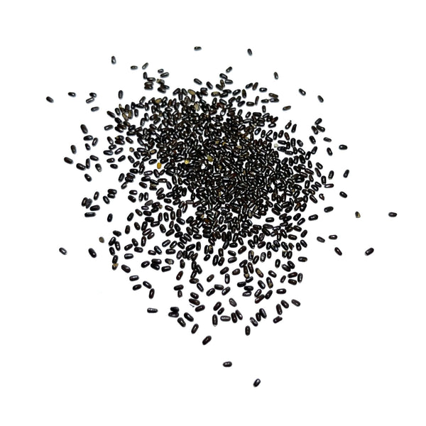 lavender hidcote seeds Hidcote Lavender Seed For Planting (Lavandula angustifolia) Seed Needs – Seed Needs LLC