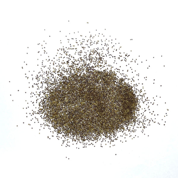 Mother of Thyme, Creeping Thyme Seeds For Planting (Thymus serpyllum)