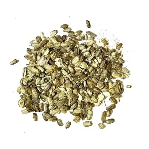 angelica plant seeds Angelica Herb Seeds (Angelica archangelica)