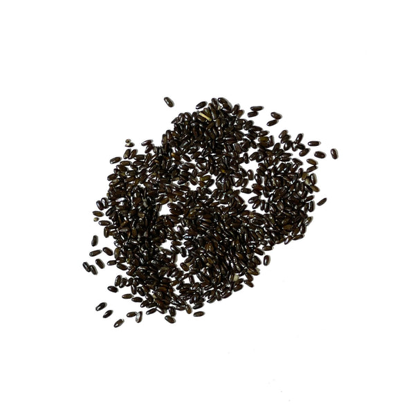 wild lavender seeds Spike Lavender Seeds For Planting (Lavandula latifolia) Seed Needs – Seed Needs LLC
