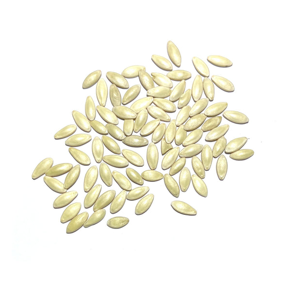Bush Pickle Cucumber Seeds For Planting (Cucumis sativus)