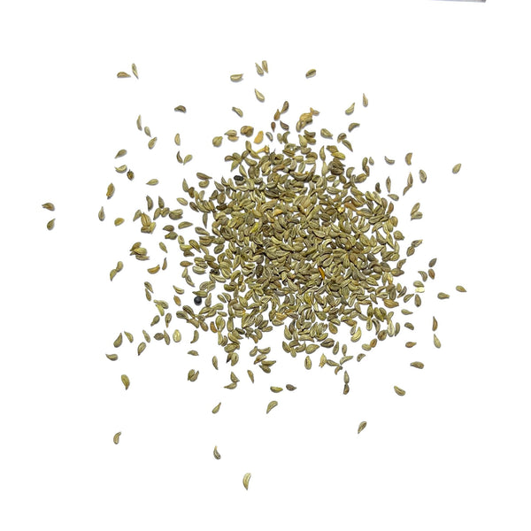 Triple Curled Parsley Seeds For Planting (Petroselinum crispum)