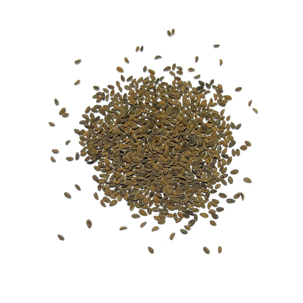 Lacy Phacelia Seeds For Planting (Phacelia tanacetifolia)