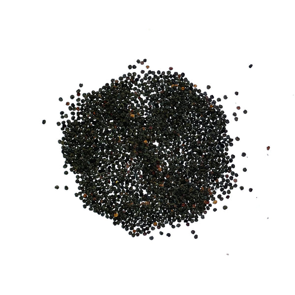 Pink Baby's Breath Seeds For Planting (Gypsophila elegans)
