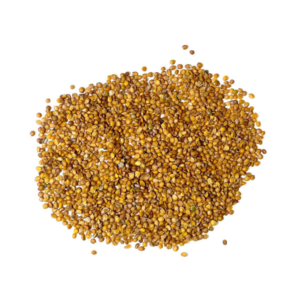 Basket of Gold Alyssum Seeds For Planting (Aurinia saxatilis)