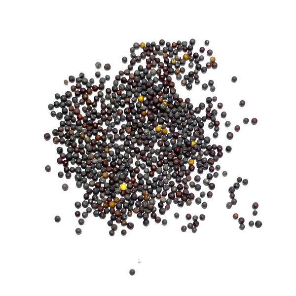 Tatsoi Mustard Seeds For Planting (Brassica rapa)