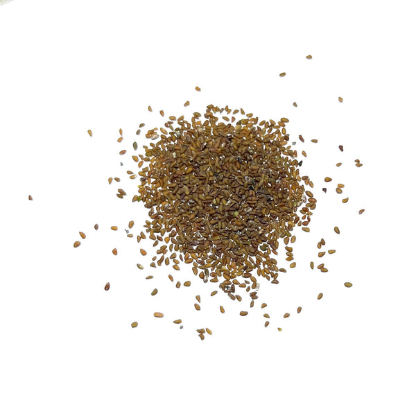 Globe Gilia Flower Seeds For Planting (Gilia capitata)