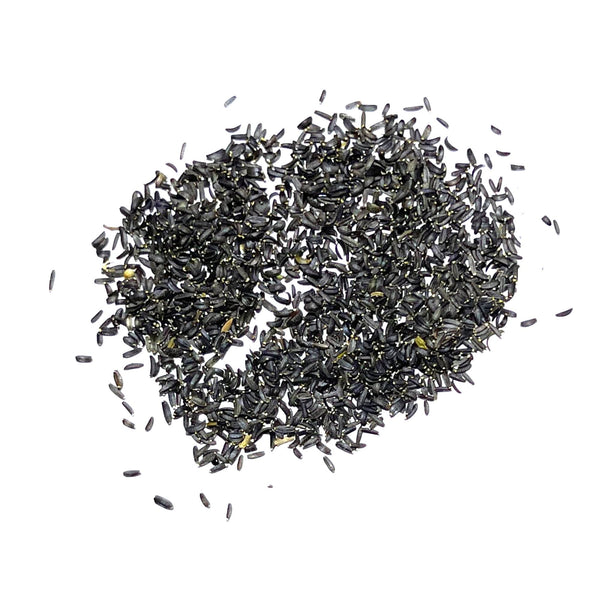 Coreopsis Plains Seeds For Planting (Coreopsis tinctoria)