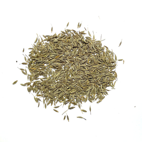 buy cumin seeds for planting Cumin Herb Seeds For Planting (Cuminum cyminum) – Seed Needs LLC