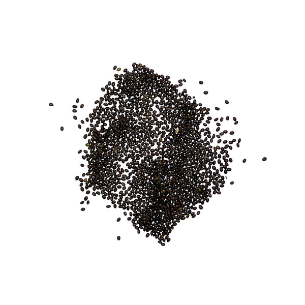 Holy Basil Herb Seeds For Planting (Ocimum sanctum)