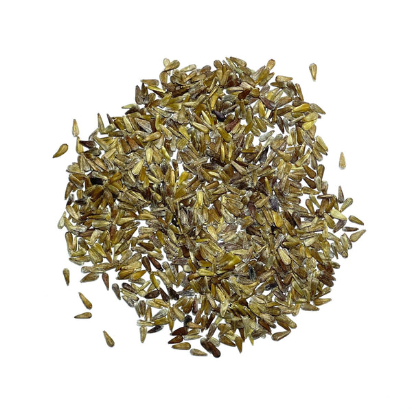 plant seeds from china Powder Puff China Aster Seeds For Planting (Callistephus chinensis) – Seed Needs LLC