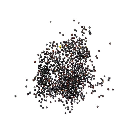 Georgia Southern Collard Seeds For Planting (Brassica oleracea)