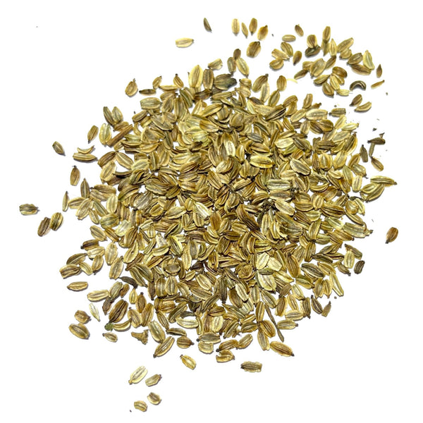 plant some logavano seeds Lovage Herb Seeds For Planting (Levisticum officinale) Seed Needs – Seed Needs LLC