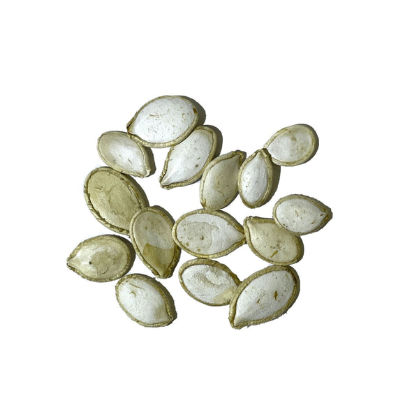 Lumina White Pumpkin Seeds For Planting (Cucurbita maxima)