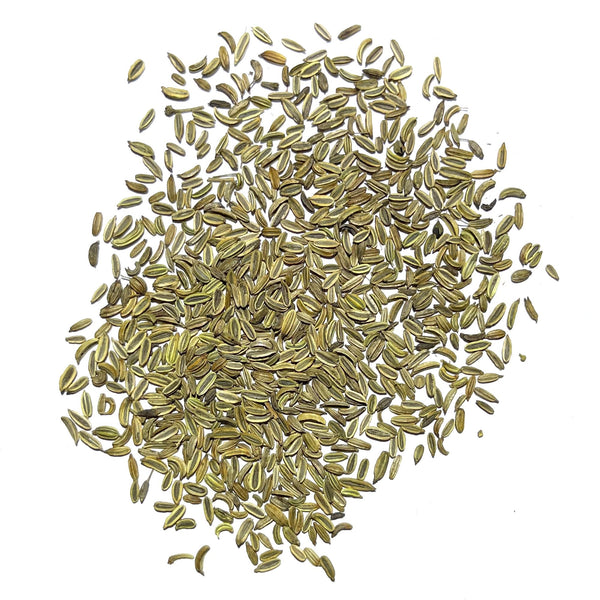 Florence Fennel Herb Seeds For Planting (Foeniculum vulgare)