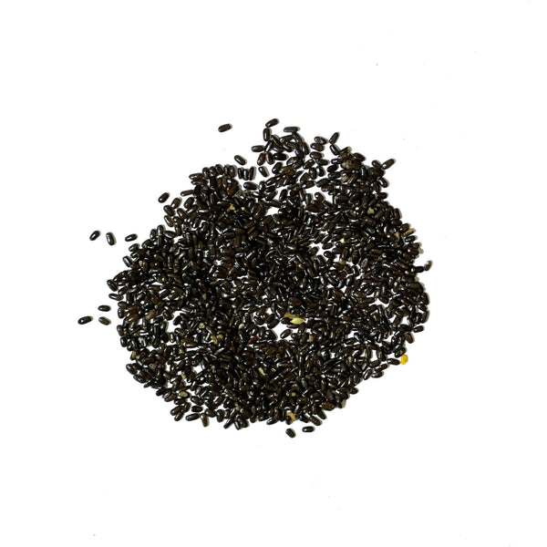 lavender seeds images Munstead Lavender Seeds For Planting (Lavandula angustifolia) Seed Needs – Seed Needs LLC