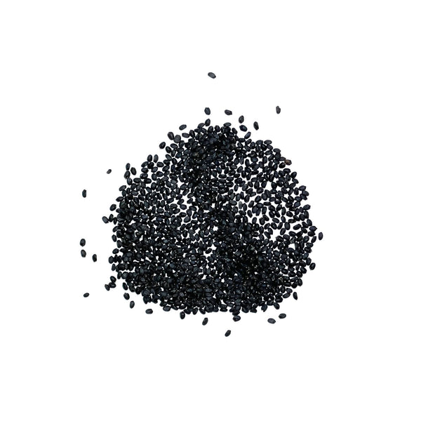 Dark Opal Basil Seeds For Planting (Ocimum basilicum)