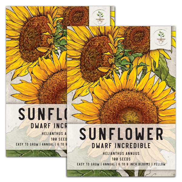 Incredible Dwarf Sunflower Seeds For Planting (Helianthus annuus)