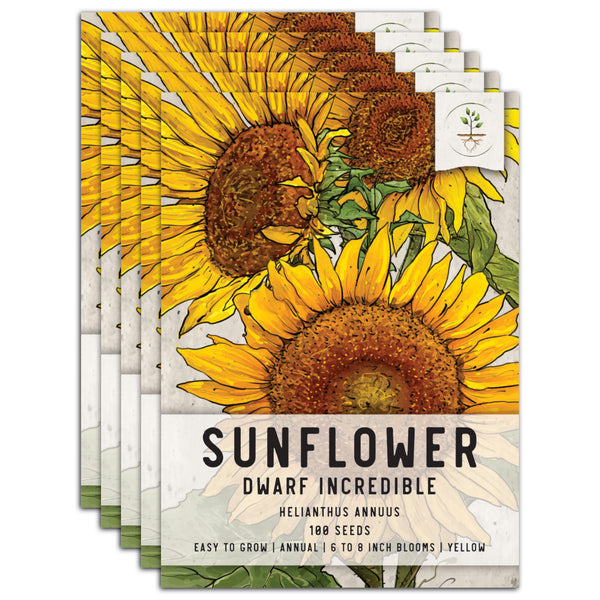 Incredible Dwarf Sunflower Seeds For Planting (Helianthus annuus)
