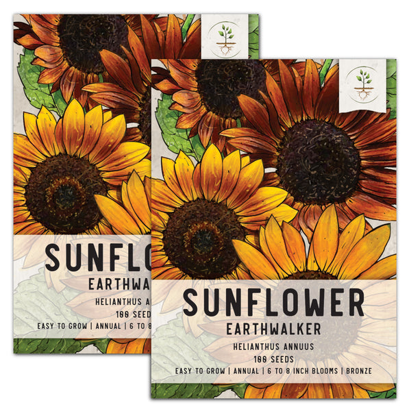 Earthwalker Sunflower Seeds For Planting (Helianthus annuus)
