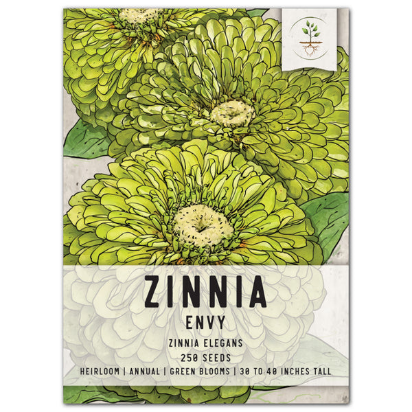 Envy Zinnia Seeds For Planting (Zinnia elegans)