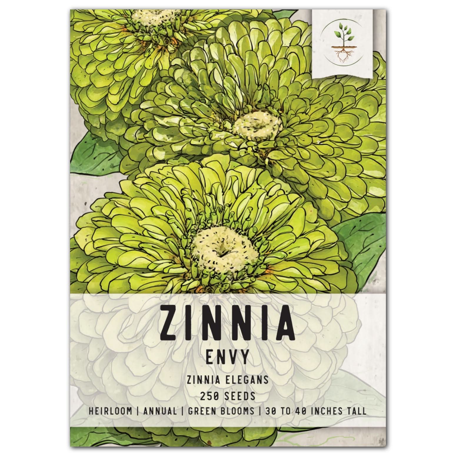 Envy Zinnia Seeds For Planting (Zinnia elegans) Seed Needs – Seed Needs LLC, image size:1550x1550