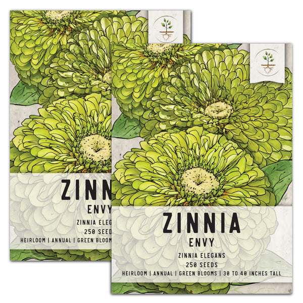 Envy Zinnia Seeds For Planting (Zinnia elegans)