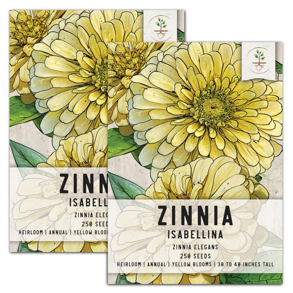 Isabellina Zinnia Seeds For Planting (Zinnia elegans)