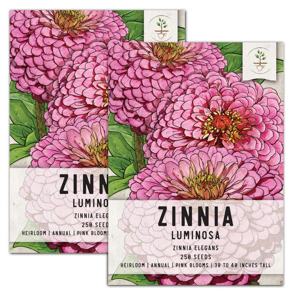 Luminosa Zinnia Seeds For Planting (Zinnia elegans)