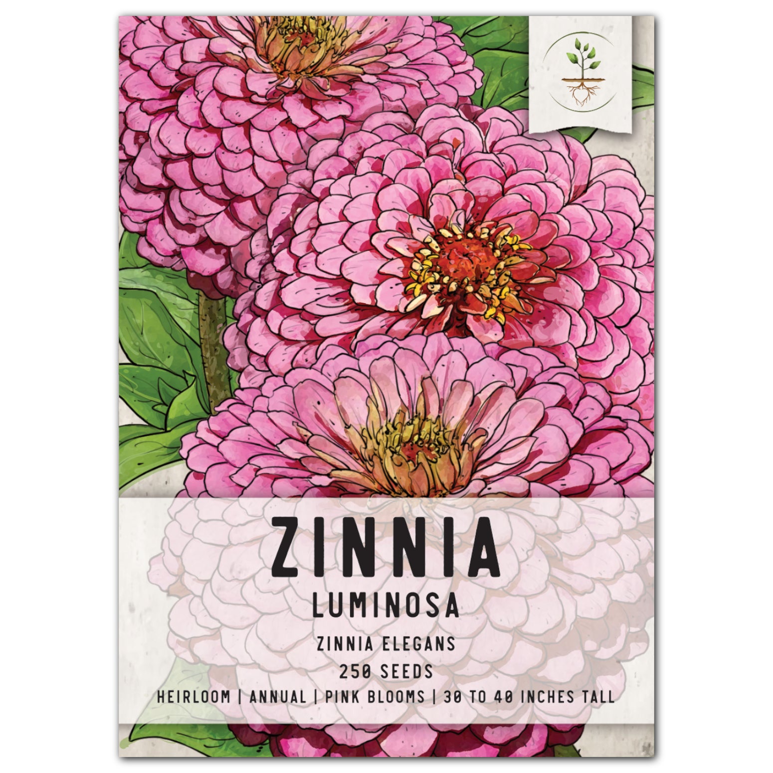 Luminosa Zinnia Seeds For Planting (Zinnia elegans)
