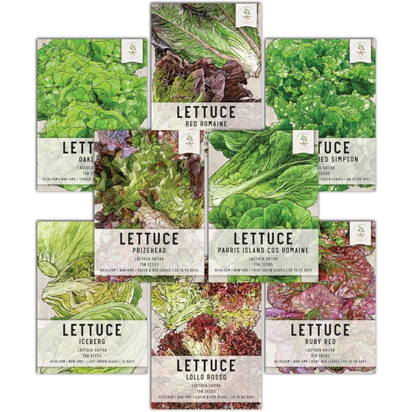 Lettuce Lovers Seed Collection