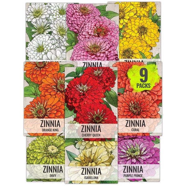 Mega Zinnia Seed Collection