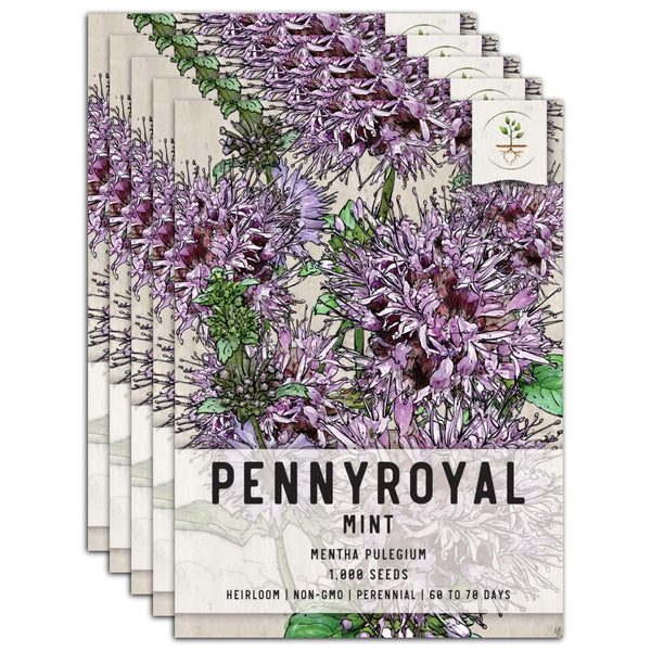 Pennyroyal Mint Seeds For Planting (Mentha pulegium)