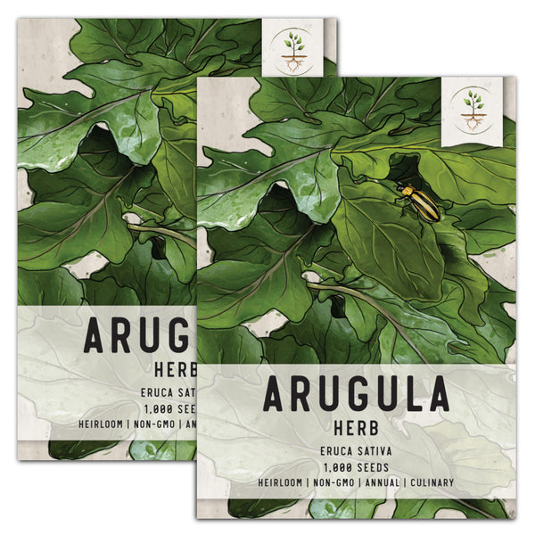 Arugula Herb Seeds For Planting (Eruca sativa)