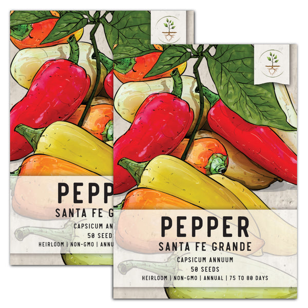 Santa Fe Grande Hot Pepper Seeds For Planting (Capsicum annuum)