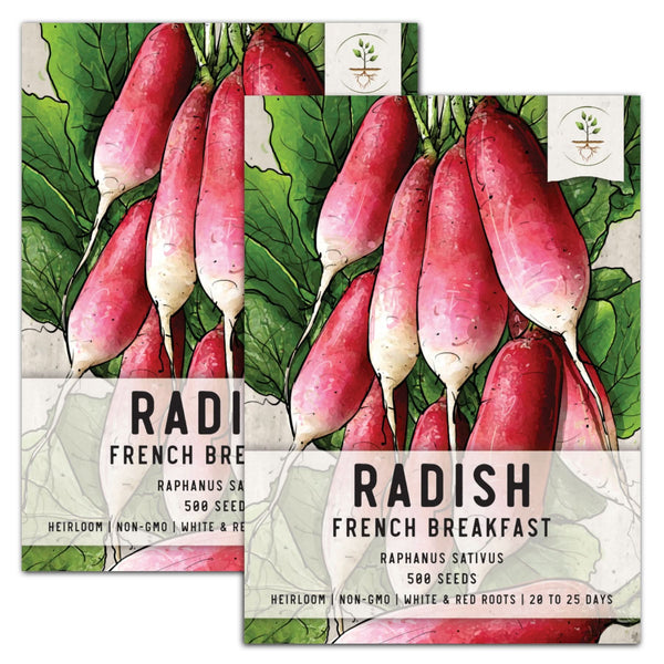 French Breakfast Radish Seeds For Planting (Raphanus sativus)