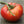 red brandywine tomato seeds for planting