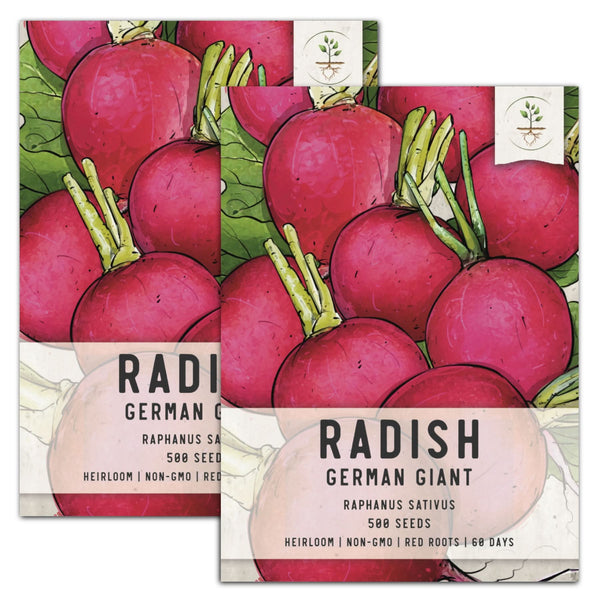 German Giant Radish Seeds For Planting (Raphanus sativus)