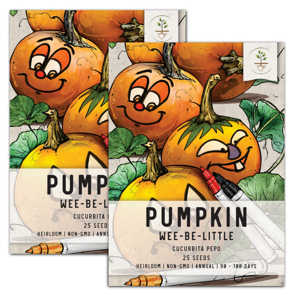 Wee B Little Pumpkin Seeds For Planting (Cucurbita pepo)