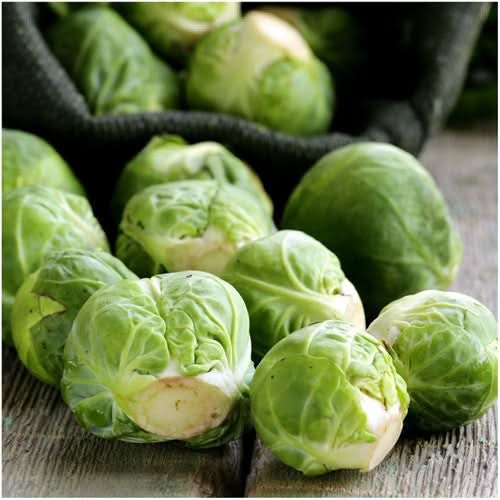 Brussels Sprout Seeds For Planting, Long Island Improved (Brassica oleracea)