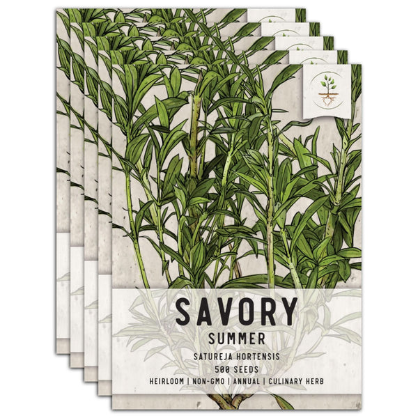 Summer Savory Herb Seeds For Planting (Satureja hortensis)