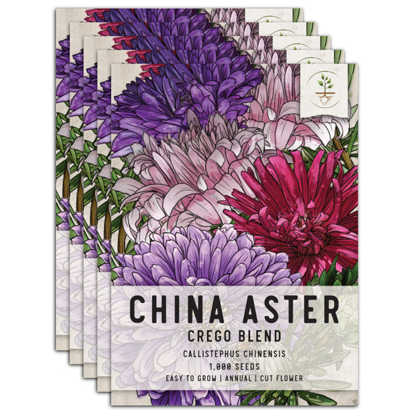 Crego Mixture China Aster Seeds For Planting (Callistephus chinensis)