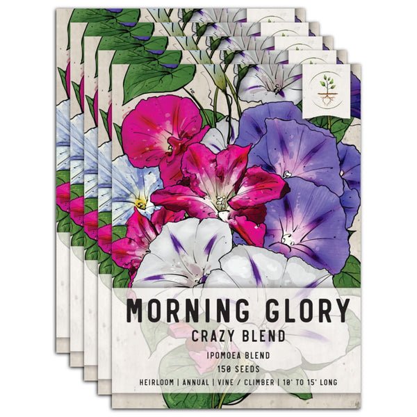 Crazy Mixed Morning Glory Seeds For Planting (Ipomoea pupurea / nil)