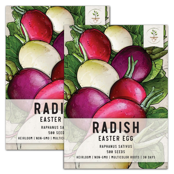 Easter Egg Radish Seeds For Planting (Raphanus sativus)