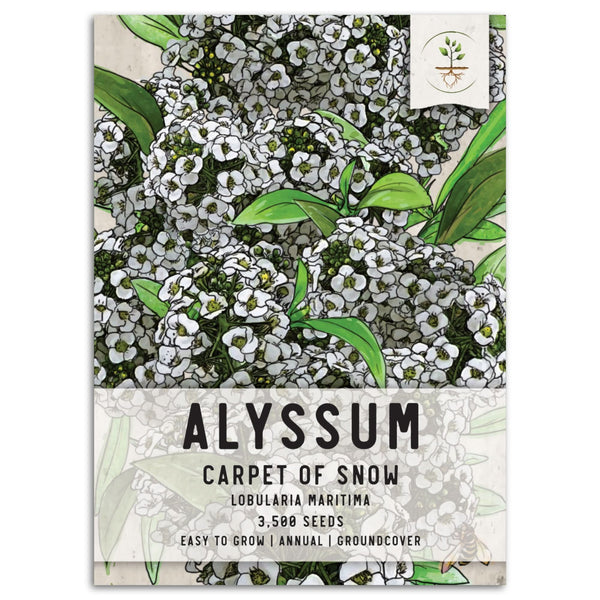 Carpet of Snow Alyssum Seeds For Planting (Lobularia maritima)