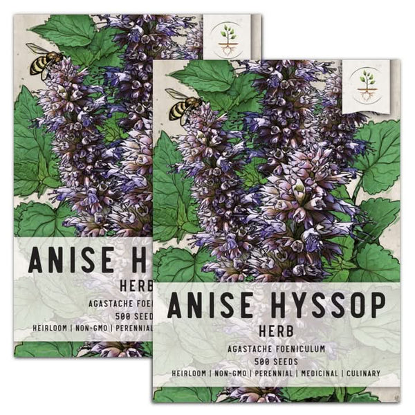 Anise Hyssop Herb Seeds For Planting (Agastache foeniculum)