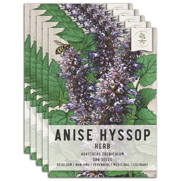 Anise Hyssop Herb Seeds For Planting (Agastache foeniculum)